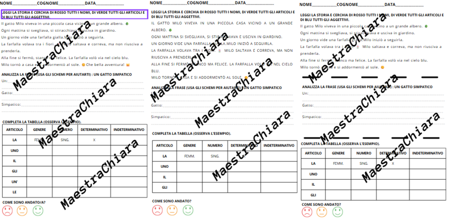 Verifica o esercitazione su articoli, nomi e aggettivi qualificativi classe seconda in più versioni.