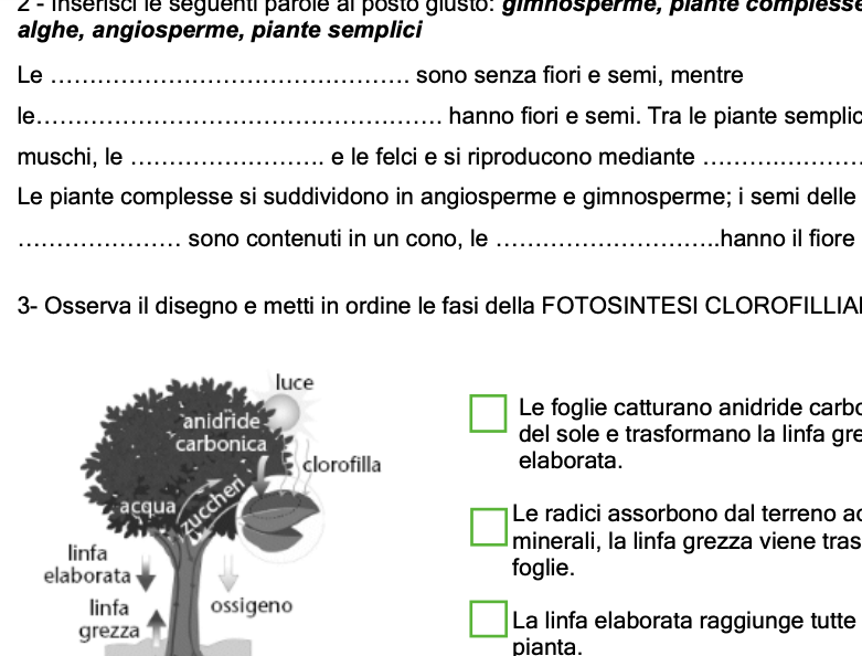 VERIFICA SCIENZE SEMPLIFICATA: LE PIANTE