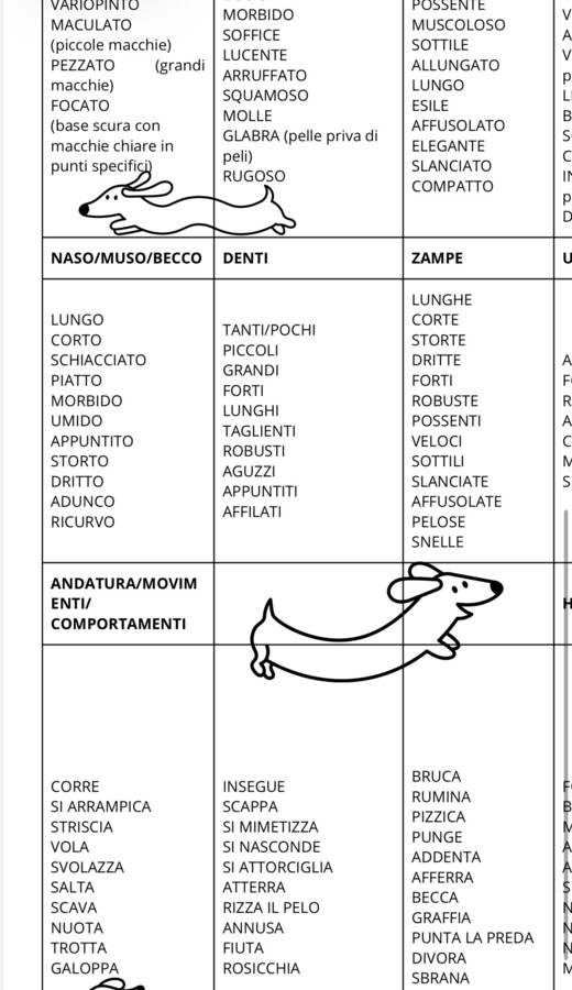 Descrivere un animale