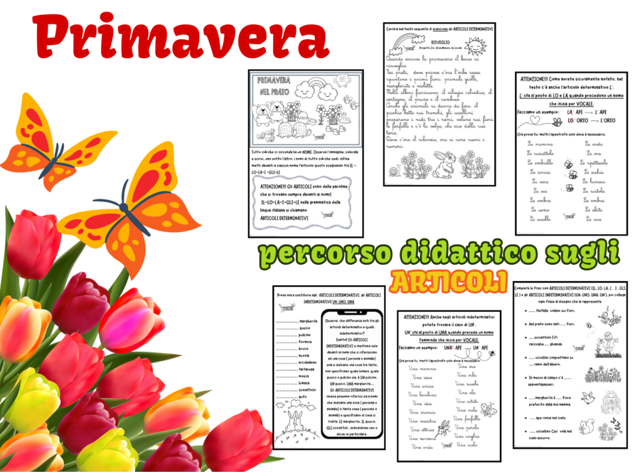 PRIMAVERA.. percorso didattico sugli articoli