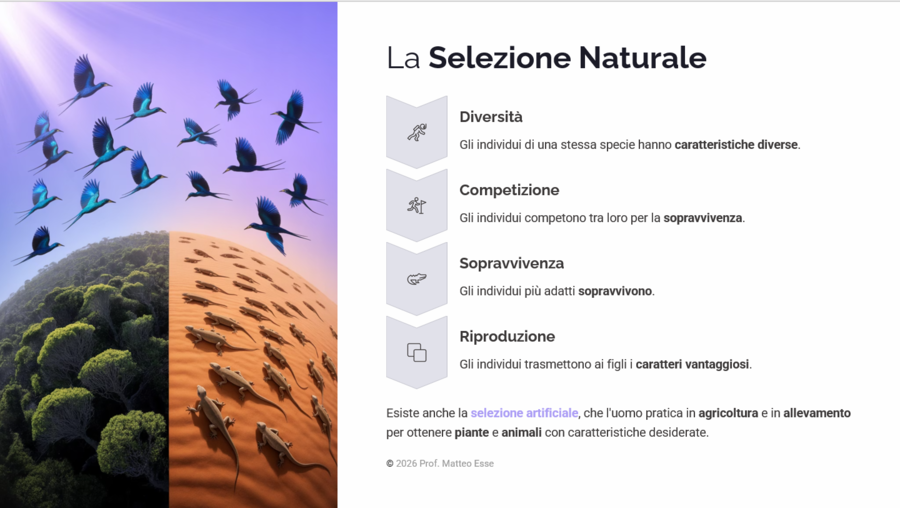La Nascita dell'Uomo: Teorie Evolutive e Selezione Naturale – Kit Didattico (Slide + Verifica)