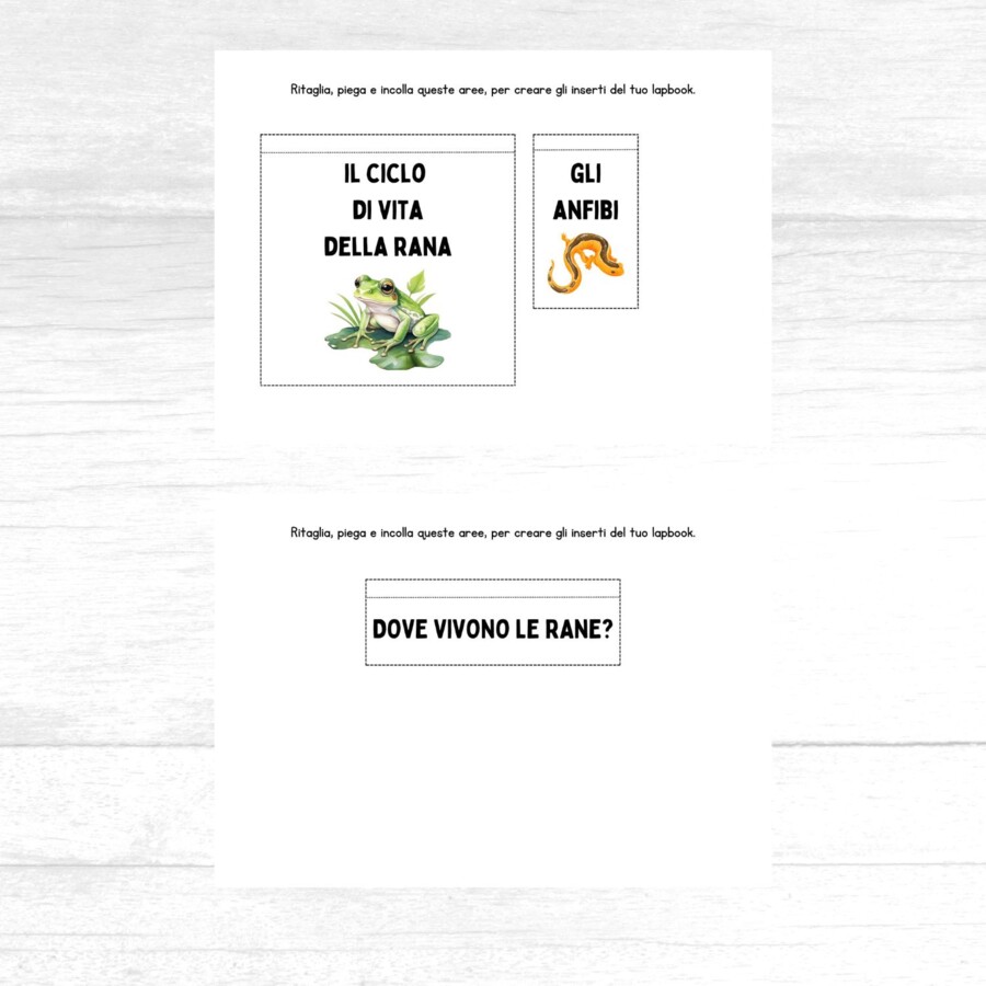 Lapbook sulle rane da stampare - Ciclo di vita delle rane