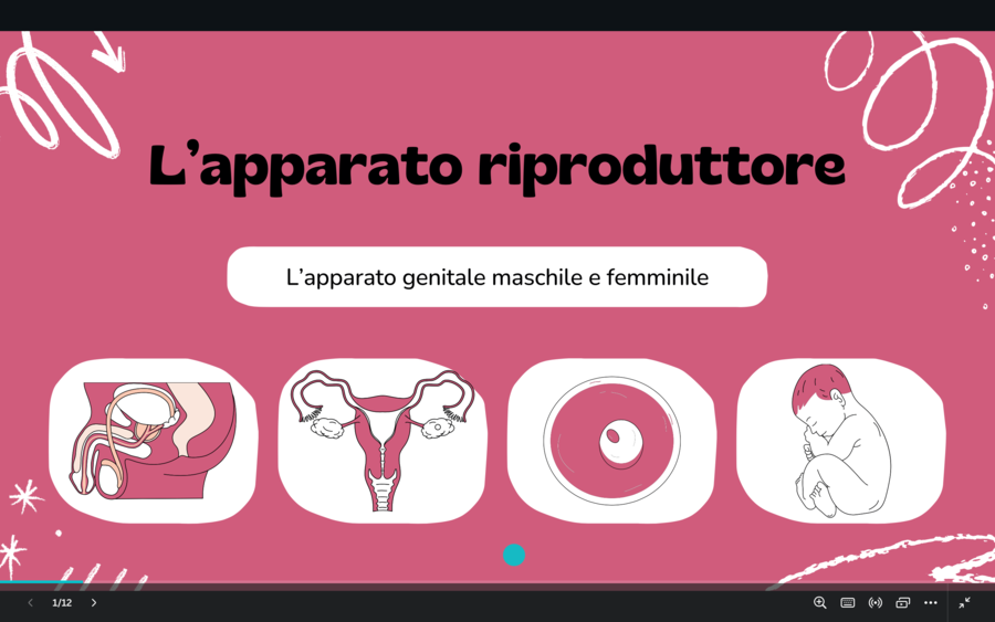 Presentazione apparato riproduttore - classe quinta