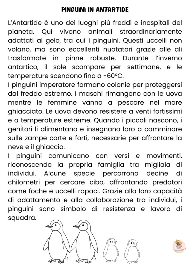 🌟 10 Schede di Comprensione – Perfette per la Classe Terza e Quarta! 🌟