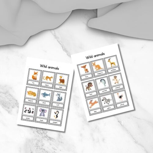 Wild animals flashcards