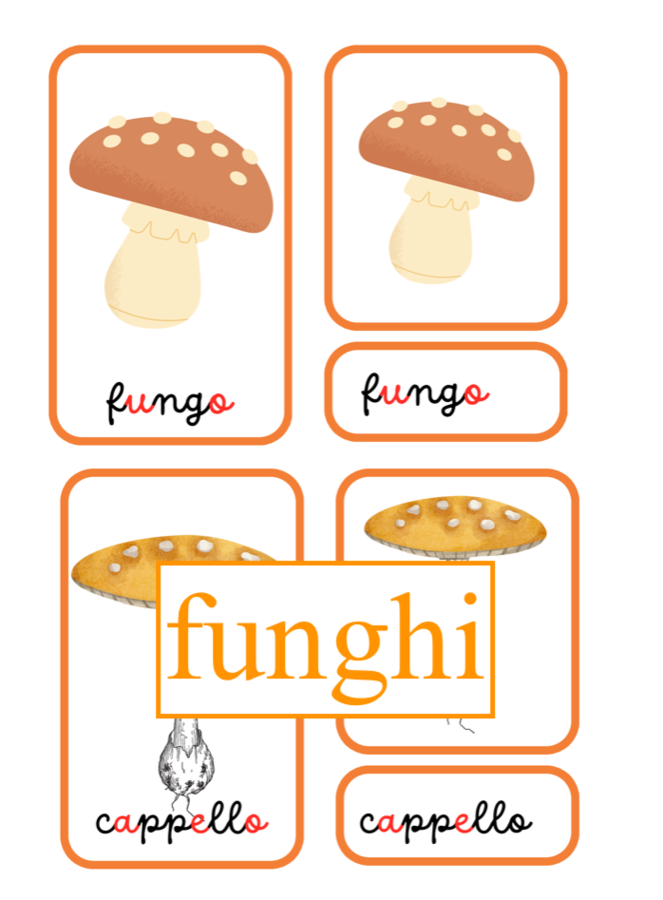 Carte di nomenclature Montessori per l'autunno- pack con 5 nomenclature