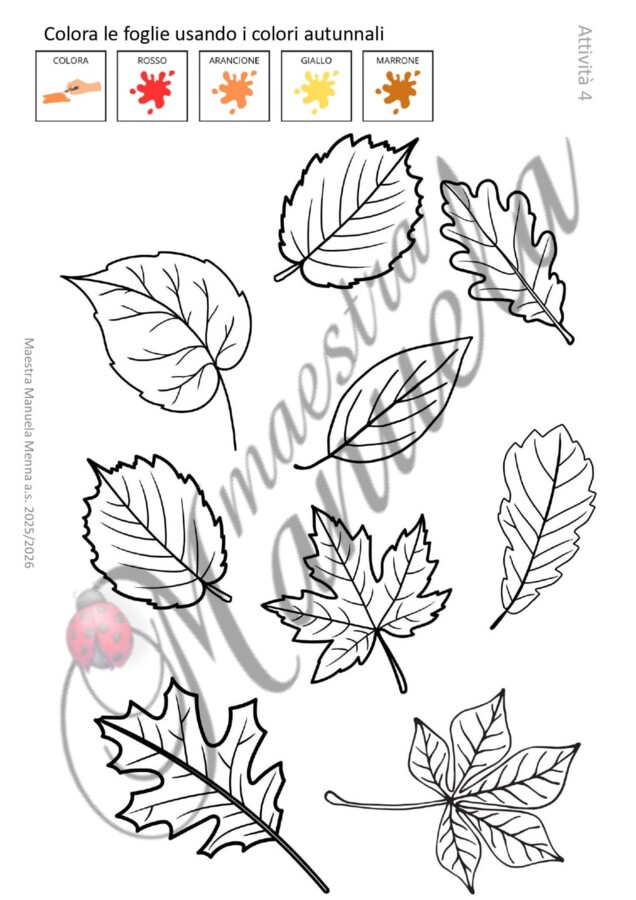 Equinozio d’autunno: attività semplici e creative per la scuola primaria