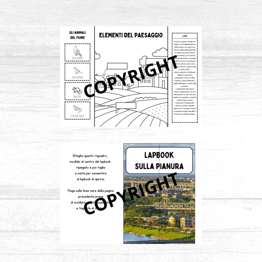 Lapbook sulla pianura