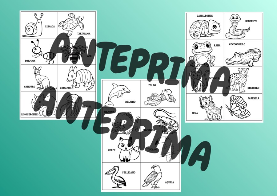 🔬kit Scienze: ripasso - consolidamento - classi 3° - 4° - 5°