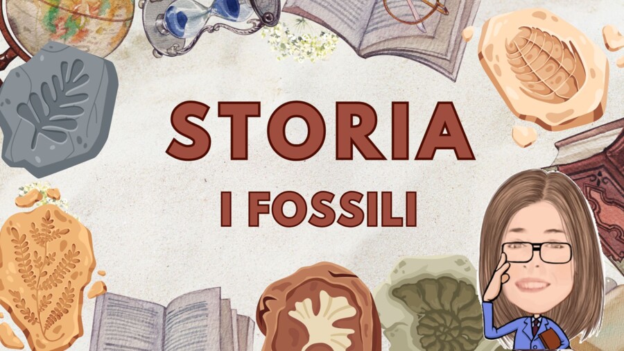 Storia per la classe terza. I Fossili. Studio