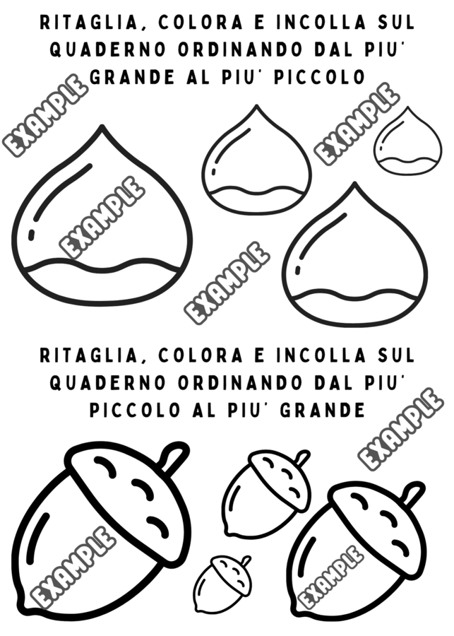 ORDINI DI GRANDEZZA E SEQUENZE - 2 SCHEDE