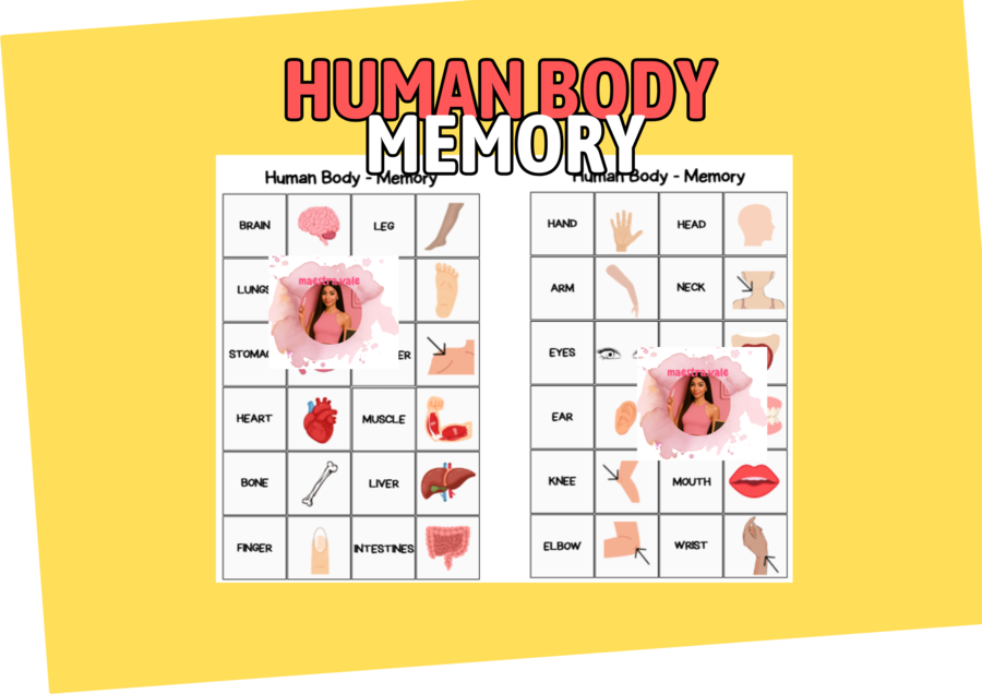 Human Body Memory - Il memory del corpo umano!