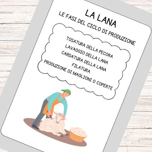 Schede didattiche dalla pecora alla lana