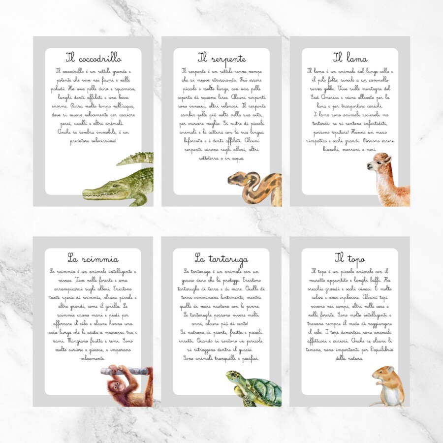 Letture in corsivo sugli animali