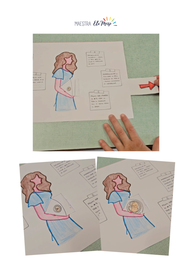 Il Grande Quaderno dei Modellini 3D e Schede Operative: "Le Meraviglie del Corpo Umano" (Mega Pack - 50 Pagine)