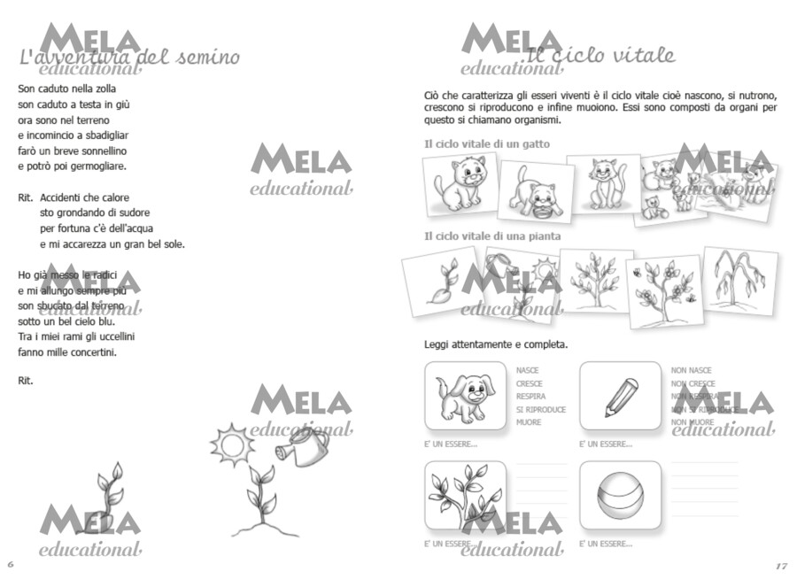 Il laboratorio delle scienze - libro con canzoni