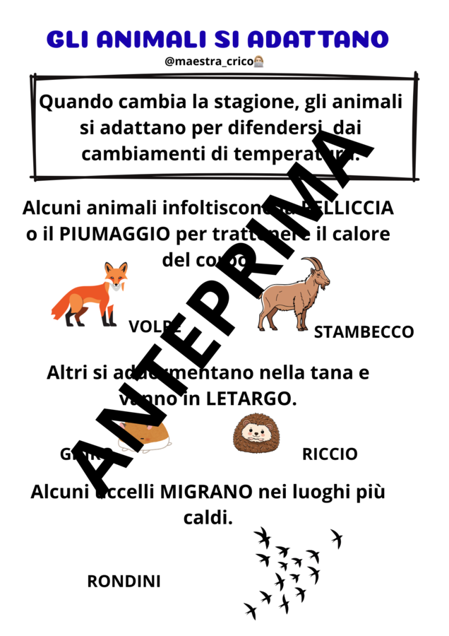 PERCORSO SUGLI ANIMALI
