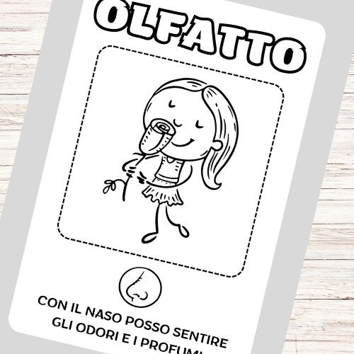 Libretto dei 5 sensi