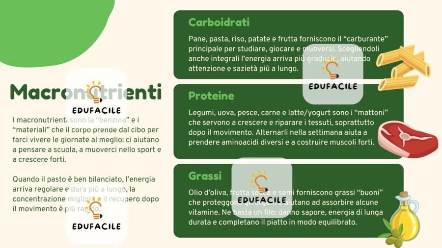 Dalla Borraccia al Piatto - Percorso teorico–pratico su idratazione e alimentazione (Primaria 4ª–5ª)