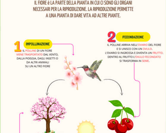 I VEGETALI: PIANTE, FIORI, FOGLIE E ALBERI