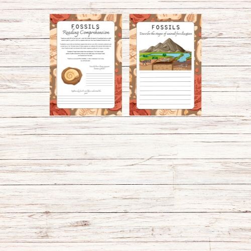 Reading comprehension - Fossils
