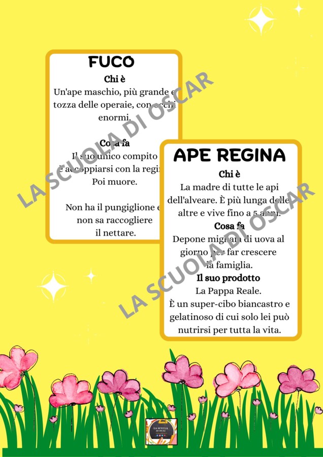 IL MONDO DELLE API: Kit Completo di 20 Flashcards Illustrate - Mestieri, Prodotti e Curiosità-
