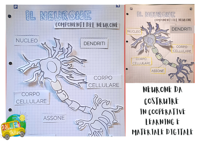 UN NEURONE DA COSTRUIRE IN COOPERATIVE LEARNING