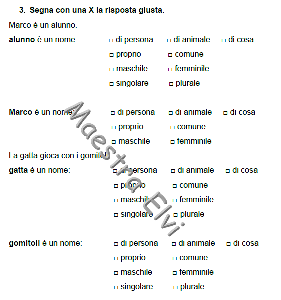 IL NOME (classe seconda)