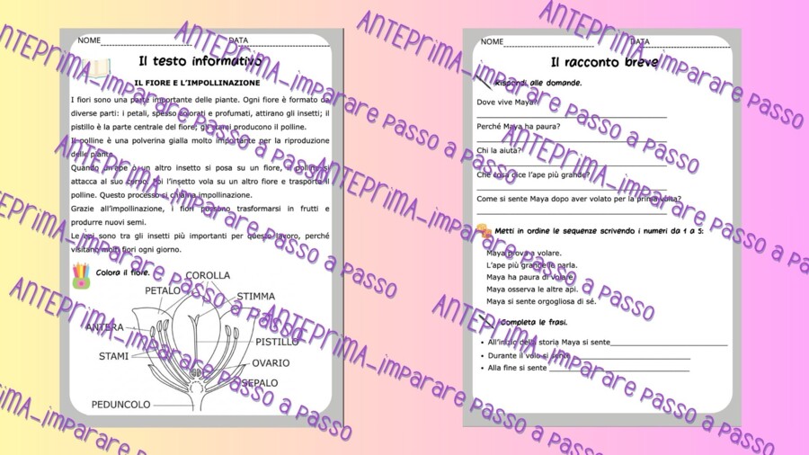 Tipologie testuali: lettura, comprensione e altro