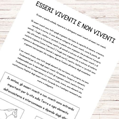 Schede didattiche esseri viventi e non viventi