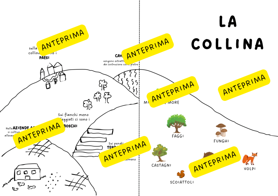 Schema - LA COLLINA