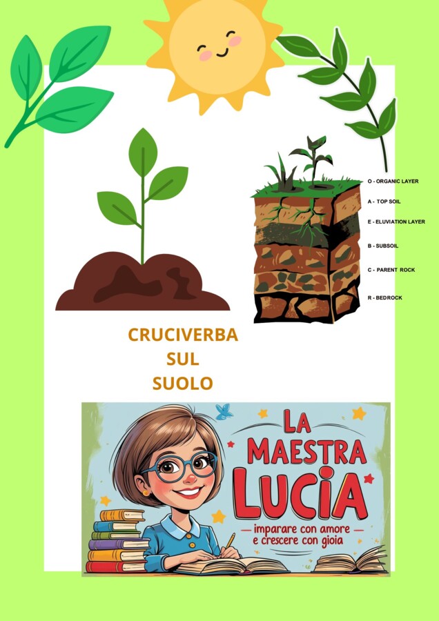 IL SUOLO- CRUCIVERBA