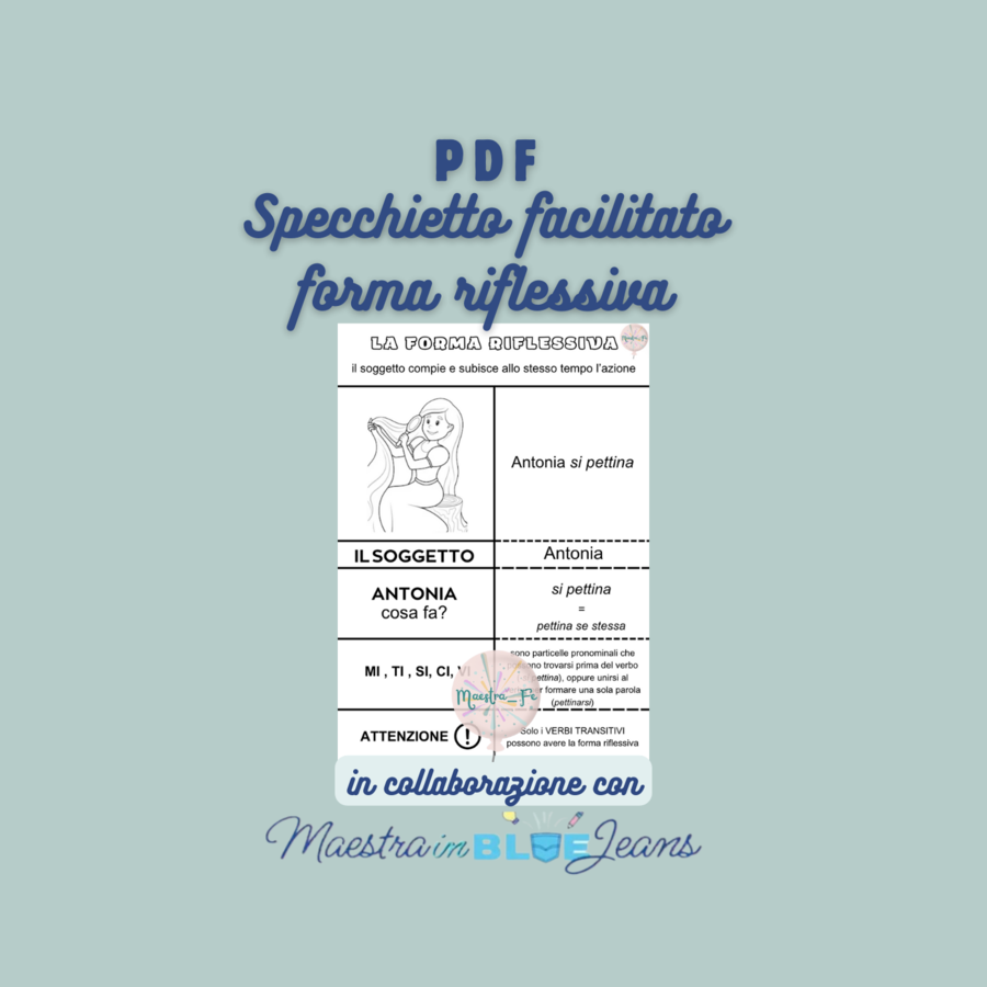 Specchietto forma riflessiva