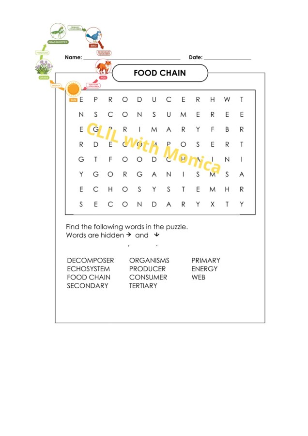 CLIL scienze classe 4 CATENE ALIMENTARI - CLIL Science Year 4 FOOD CHAINS - wordsearch