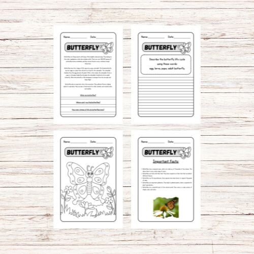 Butterfly reading comprehension - lettura in inglese