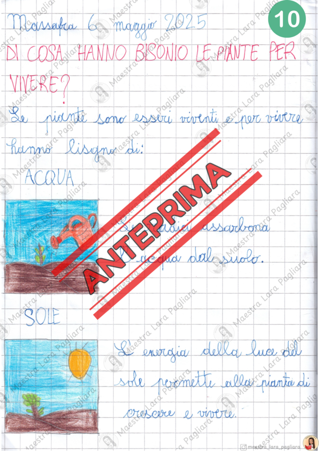 Esseri viventi - le piante - classe prima