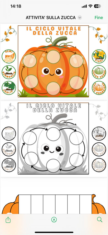 Lapbook zucca