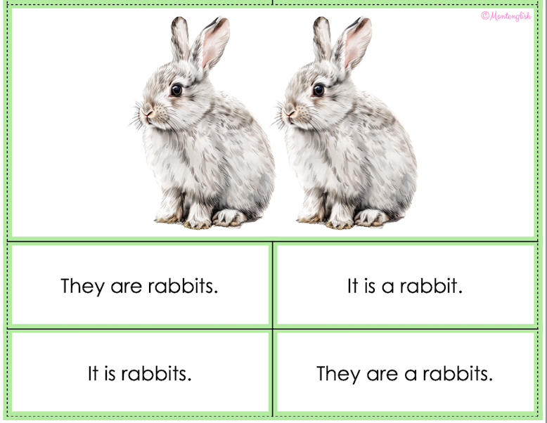 'It is' vs. 'They are' multiple choice cards with PETS vocab