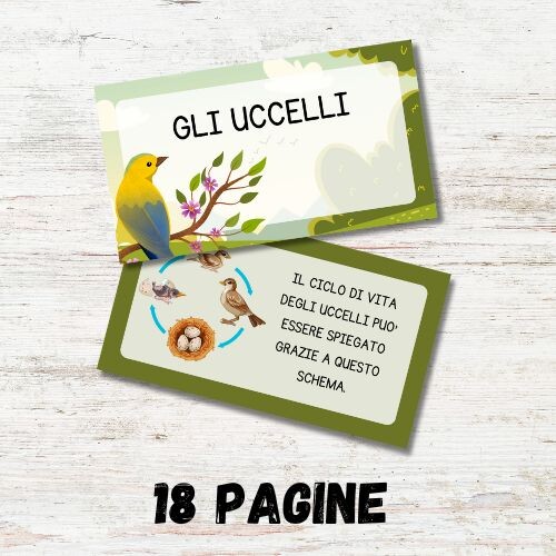 Gli uccelli scuola primaria PDF - presentazione