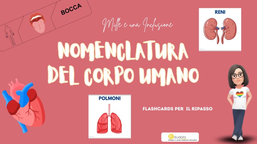 KIT DIDATTICO DEL CORPO UMANO