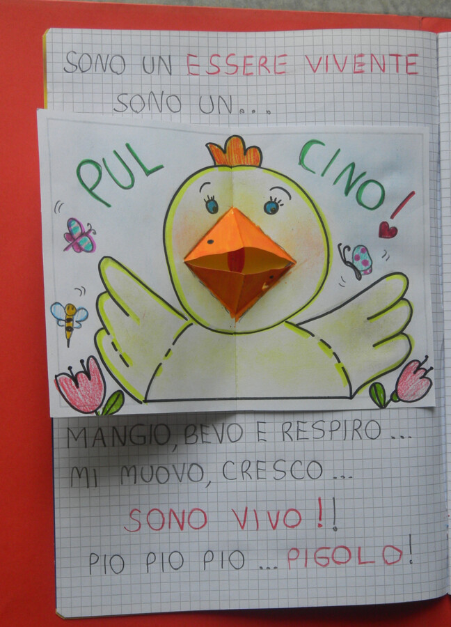 Gli Ovipari interattivi