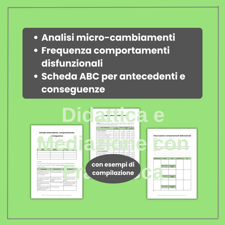 Modulo 6: Schede di Osservazione Specifiche per Abilità e Comportamenti | Registro Sostegno Editabile