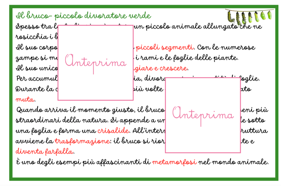 Animali della Primavera – Carte Montessori con Schede Scientifiche e Attività di Classificazione- classi 1/2 e scuola dell'infanzia