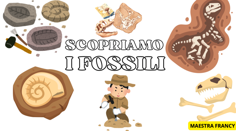 I FOSSILI 14 PAG