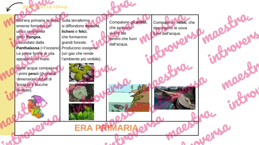 Le Ere geologiche. Linea del tempo_classe terza
