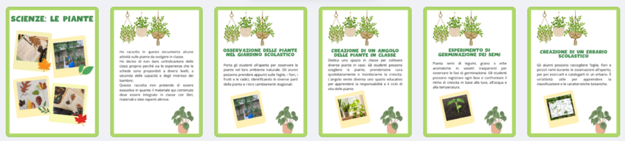 Kit di Schede Didattiche sulle Piante per la Scuola Primaria: Attività Educative e Giochi per Imparare