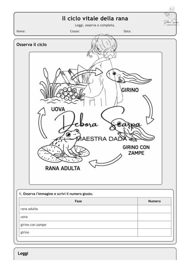 Il ciclo vitale della rana
