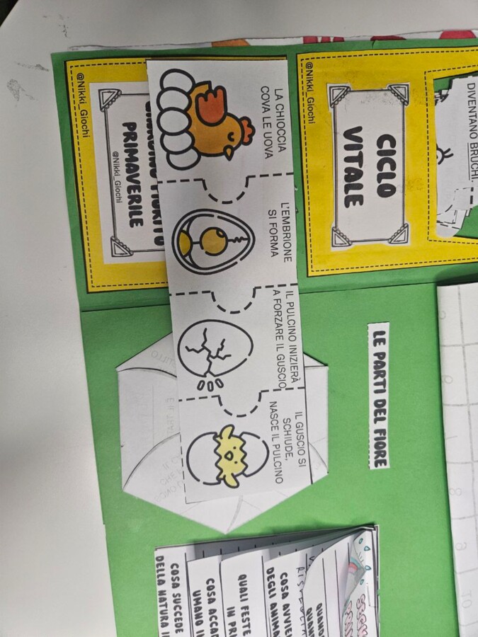 🌸 Lapbook sulla Primavera