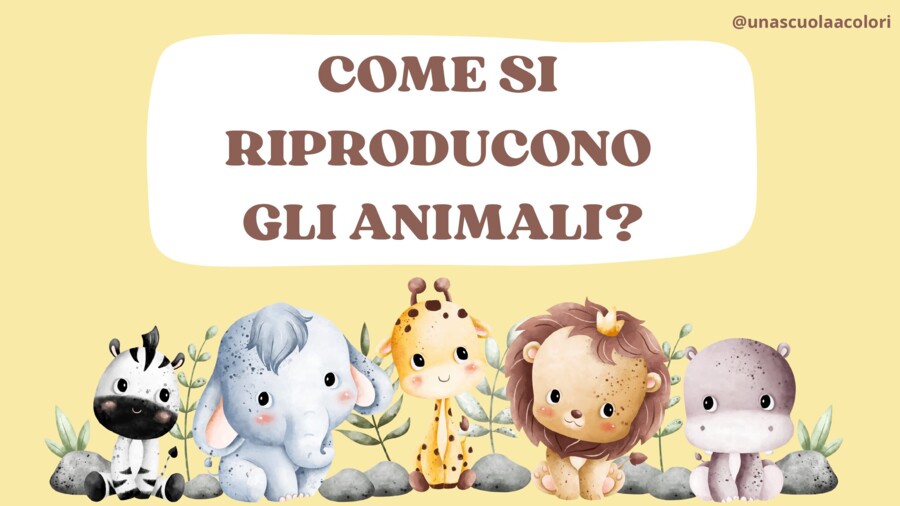 Come si riproducono gli animali