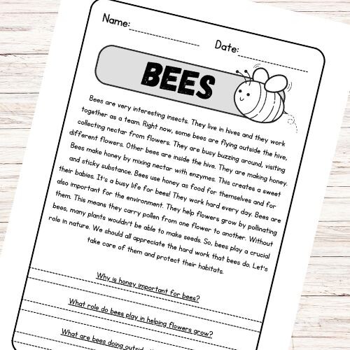 Lettura e comprensione in inglese – Bees